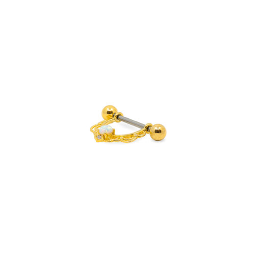 Stainless Steel Hoops, Studs, Septum, Belly